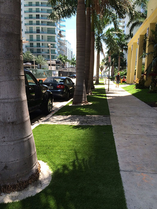 artificial grass in public street