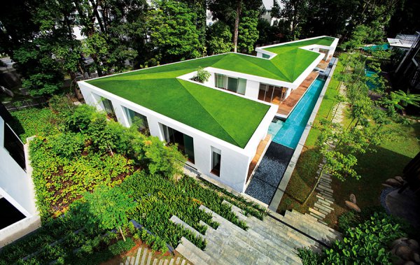 artificial turf for a green roof garden